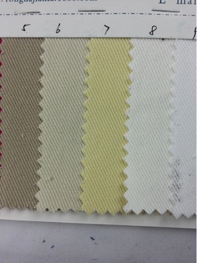 DG-RGFA  全棉粗斜 不麼毛 後面照